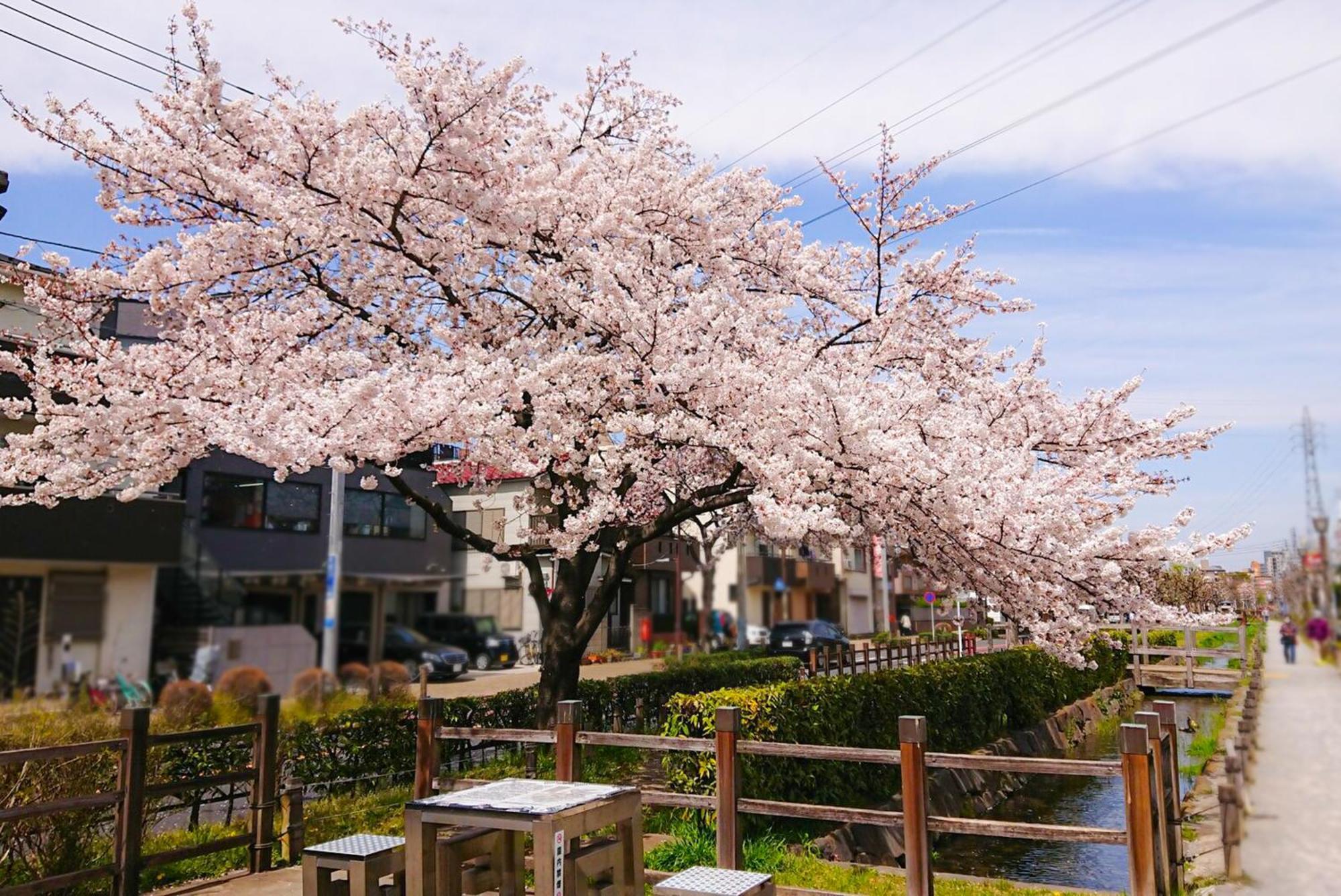 Sc Heights 103 Apartment Tokyo Luaran gambar
